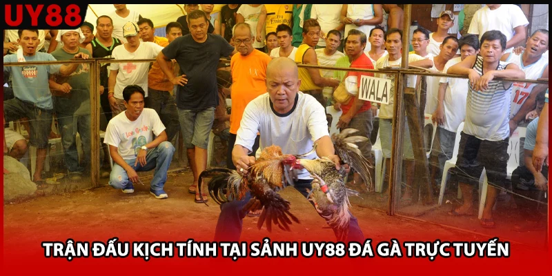 Trận đấu kịch tính tại sảnh UY88 đá gà trực tuyến